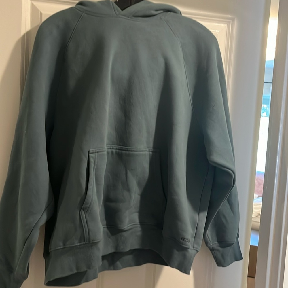 aritzia hoodie